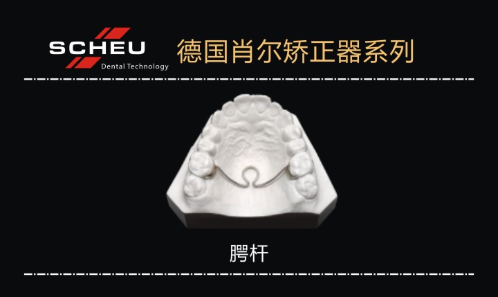 腭桿